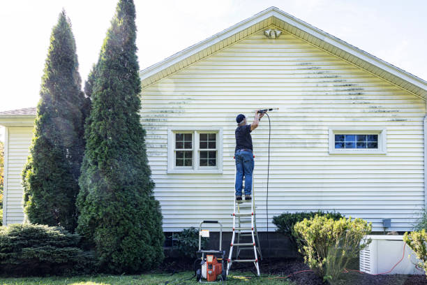 Best Roof Washing  in Columbus, NC